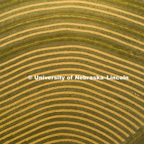 Ord Nebraska photos for Rural Futures Institute. July 9, 2018. Photo by Craig Chandler / University Communication.