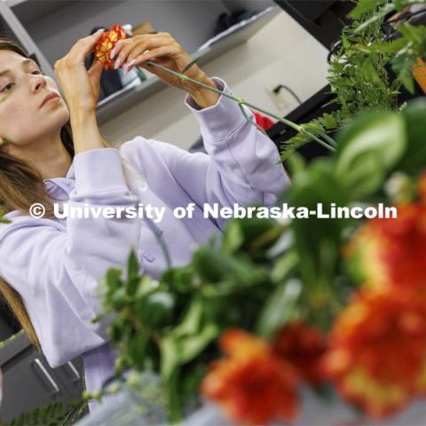 Sarah Thygesen fluffs a carnation while building her bouquet. Stacy Adams teaches PLAS 261 - Floral Design I in the Plant Science Building on East Campus. February 14, 2024. Photo by Craig Chandler / University Communication and Marketing.