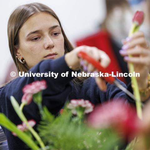 Anna Pinkall cuts the stem of a tulip. Stacy Adams teaches PLAS 261 - Floral Design I in the Plant Science Building on East Campus. February 14, 2024. Photo by Craig Chandler / University Communication and Marketing.