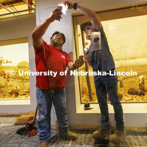 Workers with Lincoln Glass use the lights on their phones to help find fingerprints in the new glass they are installing in front of the exhibits in Morrill Hall. Workers are rushing to finish renovations to improve accessibility and better protect its exhibits and research specimens so the University of Nebraska State Museum and Mueller Planetarium can reopen to the public on March 15, 2024. March 4, 2024. Photo by Craig Chandler / University Communication and Marketing.