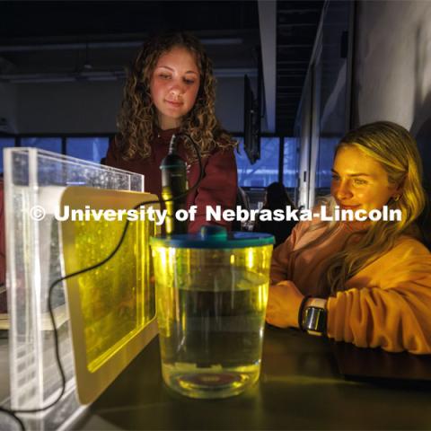 From left, Jadeyn Bubak, Allyson Foged and Ashlin Broz watch their photosynthesis experiment in LIFE 120L - Fundamentals of Biology lab in Manter Hall. They measured the oxygen generation from a spinach leaf under colored light. March 26, 2024. Photo by Craig Chandler / University Communication and Marketing.