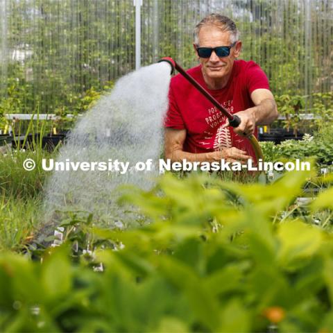 Bob Henrickson waters the plants growing in the east campus greenhouse for the plant sale. 2024 Spring Affair plant sale by the Nebraska Statewide Arboretum is April 25-27. April 15, 2024. Photo by Craig Chandler / University Communication and Marketing.